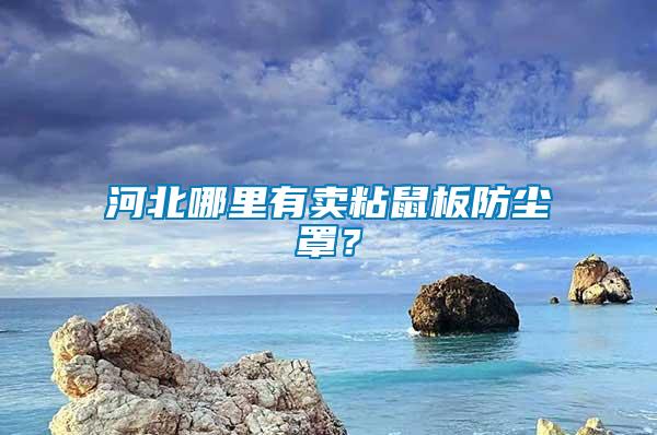 河北哪里有賣粘鼠板防塵罩？