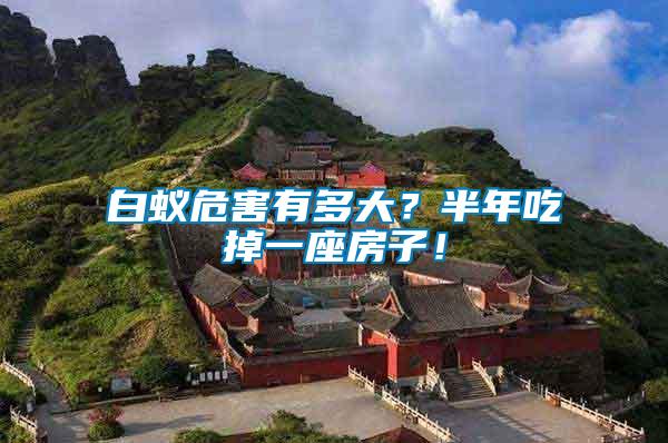 白蟻危害有多大？半年吃掉一座房子！
