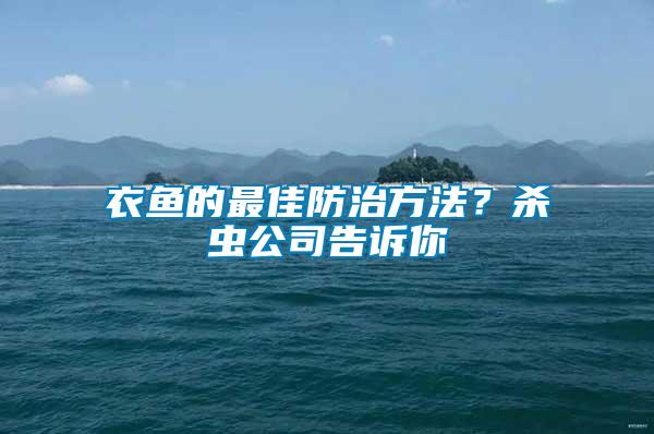 衣魚的最佳防治方法？殺蟲公司告訴你