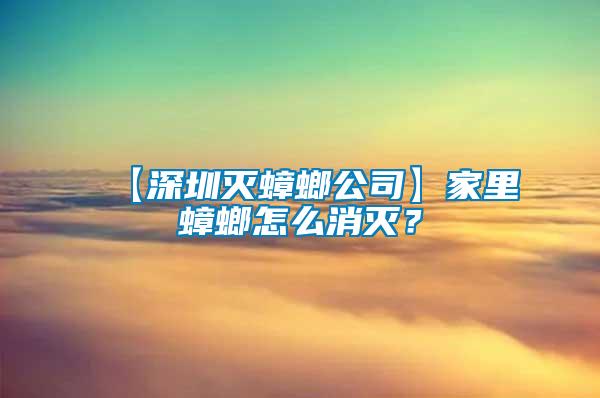 【深圳滅蟑螂公司】家里蟑螂怎么消滅？