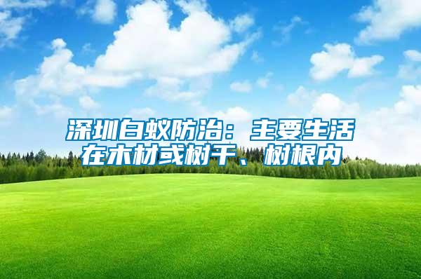 深圳白蟻防治：主要生活在木材或樹干、樹根內(nèi)