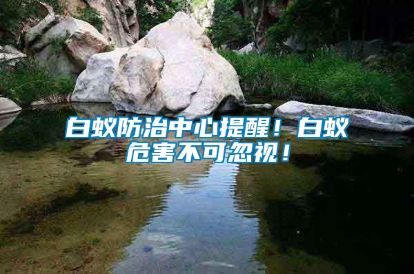 白蟻防治中心提醒！白蟻危害不可忽視！