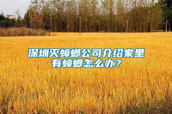 深圳滅蟑螂公司介紹家里有蟑螂怎么辦？