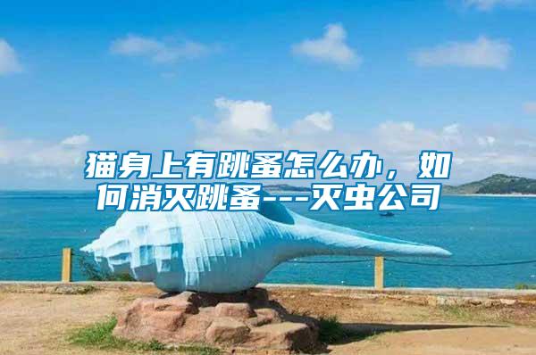 貓身上有跳蚤怎么辦，如何消滅跳蚤---滅蟲公司