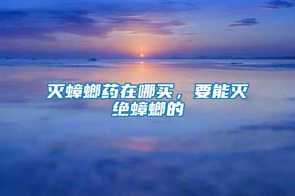 滅蟑螂藥在哪買(mǎi)，要能滅絕蟑螂的