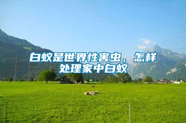 白蟻是世界性害蟲(chóng)，怎樣處理家中白蟻