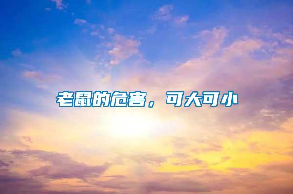 老鼠的危害，可大可小