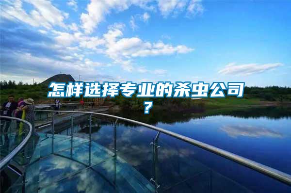 怎樣選擇專(zhuān)業(yè)的殺蟲(chóng)公司？