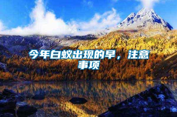 今年白蟻出現(xiàn)的早，注意事項