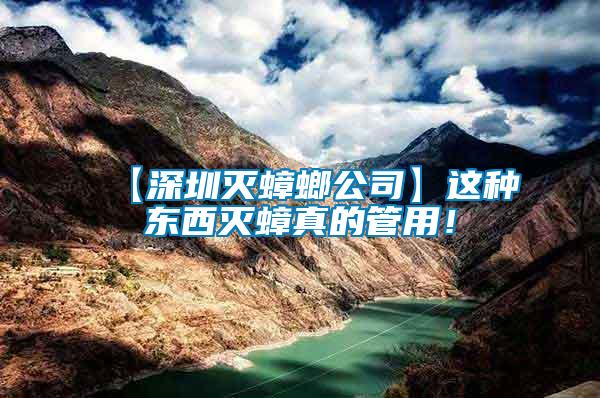 【深圳滅蟑螂公司】這種東西滅蟑真的管用！