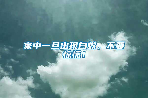 家中一旦出現(xiàn)白蟻，不要驚慌！