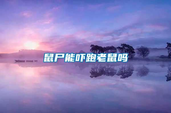 鼠尸能?chē)樑芾鲜髥?/></p>
             <p style=