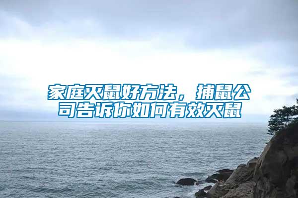 家庭滅鼠好方法，捕鼠公司告訴你如何有效滅鼠