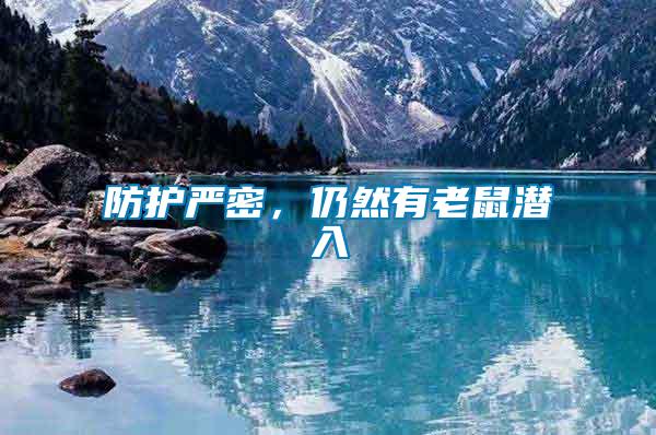 防護(hù)嚴(yán)密，仍然有老鼠潛入