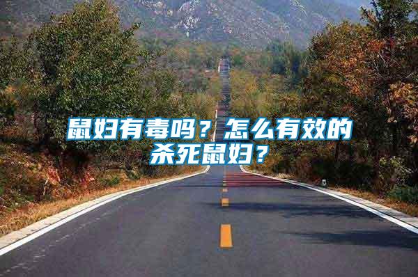 鼠婦有毒嗎？怎么有效的殺死鼠婦？