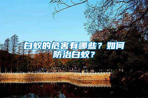 白蟻的危害有哪些？如何防治白蟻？