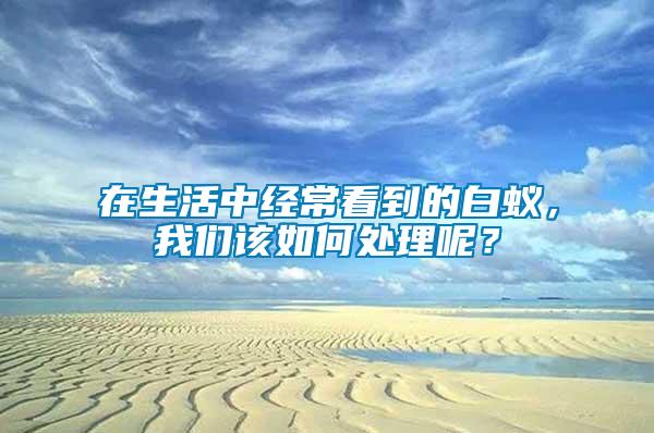 在生活中經(jīng)常看到的白蟻，我們該如何處理呢？