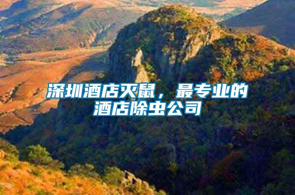 深圳酒店滅鼠，最專業(yè)的酒店除蟲公司