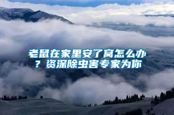 老鼠在家里安了窩怎么辦？資深除蟲害專家為你