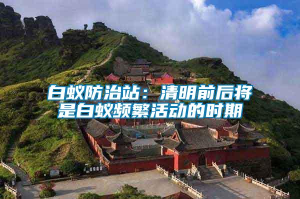 白蟻防治站：清明前后將是白蟻頻繁活動的時(shí)期