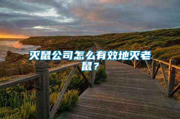 滅鼠公司怎么有效地滅老鼠？