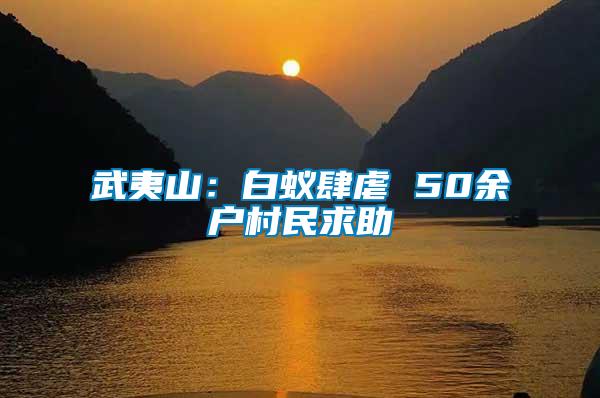 武夷山：白蟻肆虐 50余戶(hù)村民求助