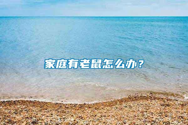 家庭有老鼠怎么辦？