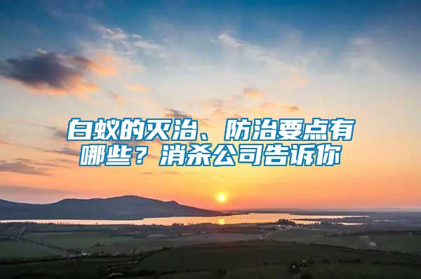 白蟻的滅治、防治要點有哪些？消殺公司告訴你