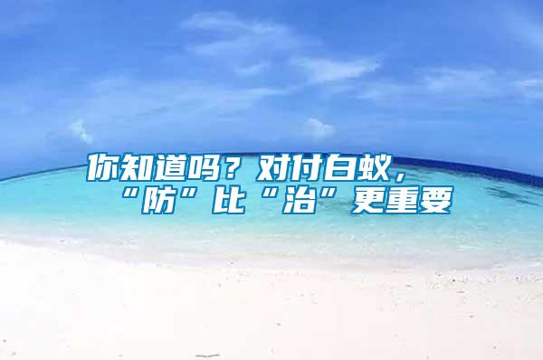 你知道嗎？對付白蟻，“防”比“治”更重要