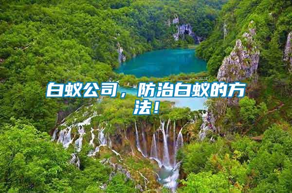 白蟻公司，防治白蟻的方法！