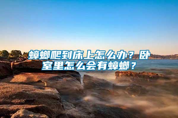 蟑螂爬到床上怎么辦？臥室里怎么會有蟑螂？