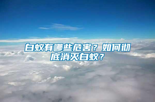 白蟻有哪些危害？如何徹底消滅白蟻？