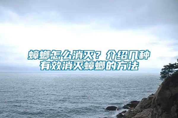 蟑螂怎么消滅？介紹幾種有效消滅蟑螂的方法