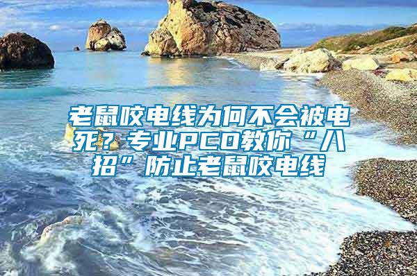 老鼠咬電線為何不會被電死？專業(yè)PCO教你“八招”防止老鼠咬電線