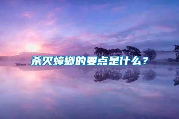 殺滅蟑螂的要點(diǎn)是什么？