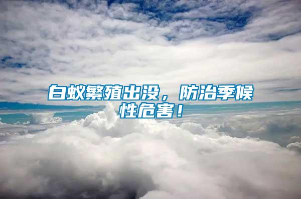 白蟻繁殖出沒，防治季候性危害！