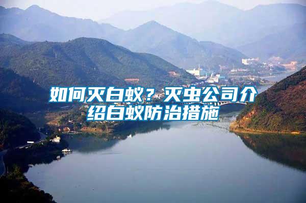 如何滅白蟻？滅蟲公司介紹白蟻防治措施