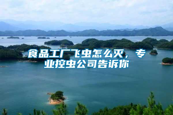 食品工廠飛蟲怎么滅，專業(yè)控蟲公司告訴你