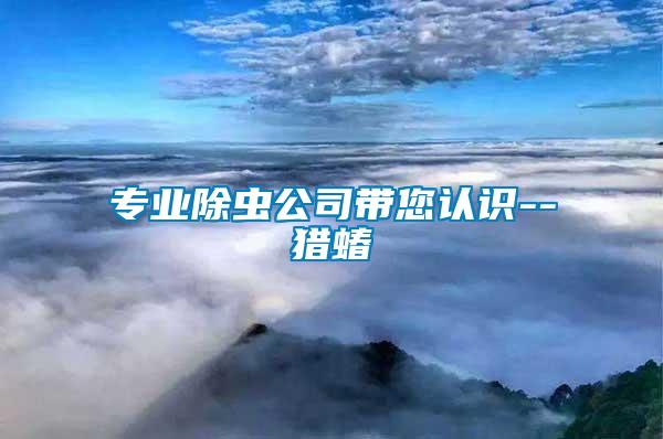專業(yè)除蟲(chóng)公司帶您認(rèn)識(shí)--獵蝽