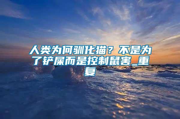 人類為何馴化貓？不是為了鏟屎而是控制鼠害_重復(fù)