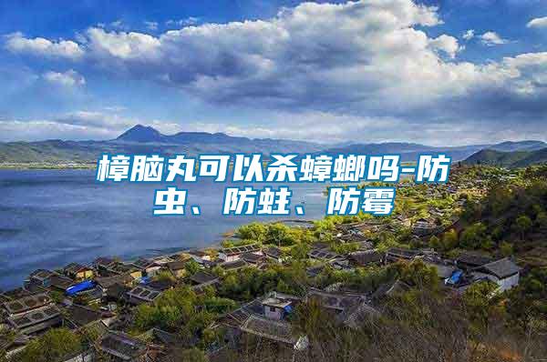 樟腦丸可以殺蟑螂嗎-防蟲、防蛀、防霉