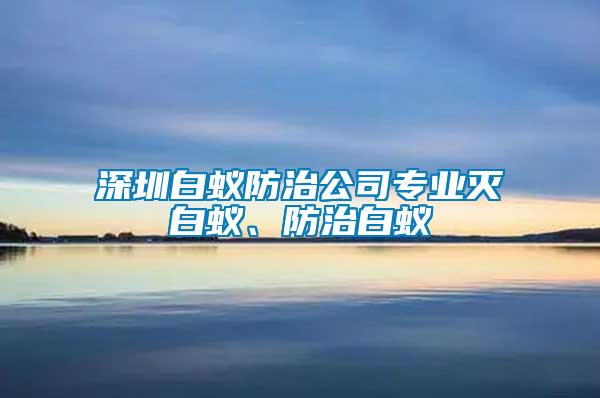 深圳白蟻防治公司專業(yè)滅白蟻、防治白蟻