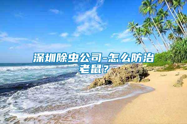 深圳除蟲公司-怎么防治老鼠？