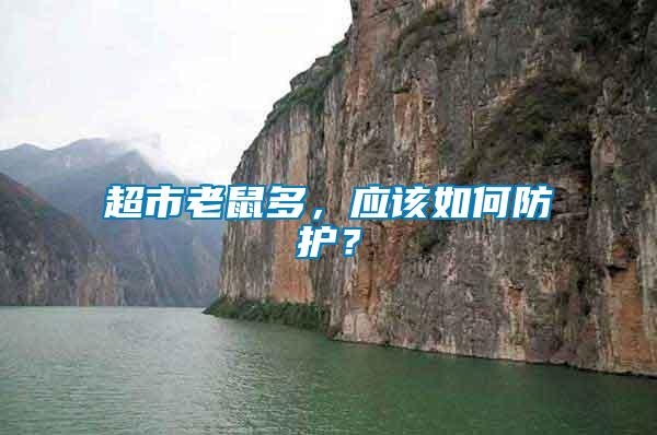 超市老鼠多，應(yīng)該如何防護(hù)？