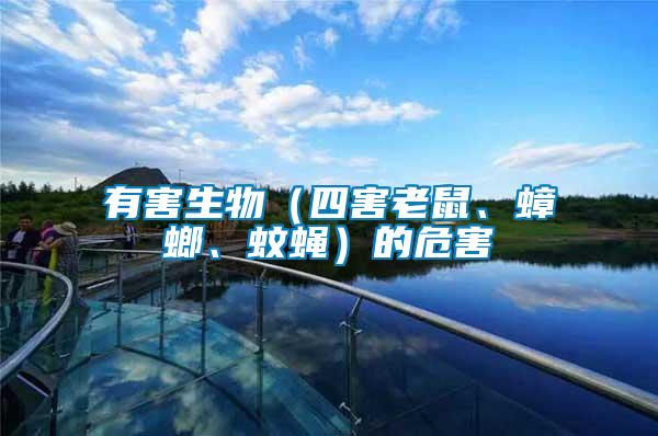 有害生物（四害老鼠、蟑螂、蚊蠅）的危害