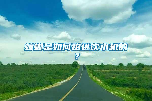 蟑螂是如何跑進(jìn)飲水機(jī)的？