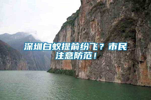 深圳白蟻提前紛飛？市民注意防范！