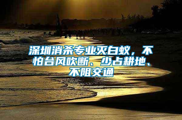 深圳消殺專業(yè)滅白蟻，不怕臺風(fēng)吹斷、少占耕地、不阻交通