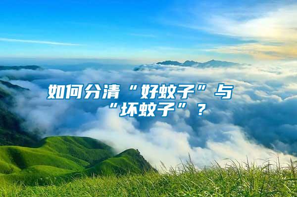 如何分清“好蚊子”與“壞蚊子”？