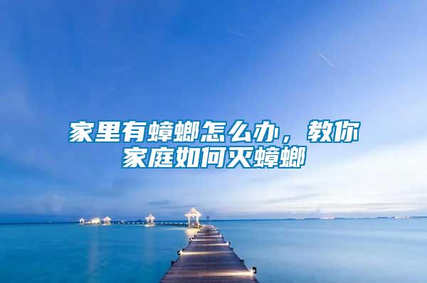 家里有蟑螂怎么辦，教你家庭如何滅蟑螂